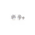 Premium 925 Sterling Silver Mother of Pearl Flower Earrings