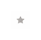 Sparkling Star 925 Sterling Silver Stud Earrings