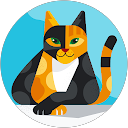 ISHAQ ALi profile picture